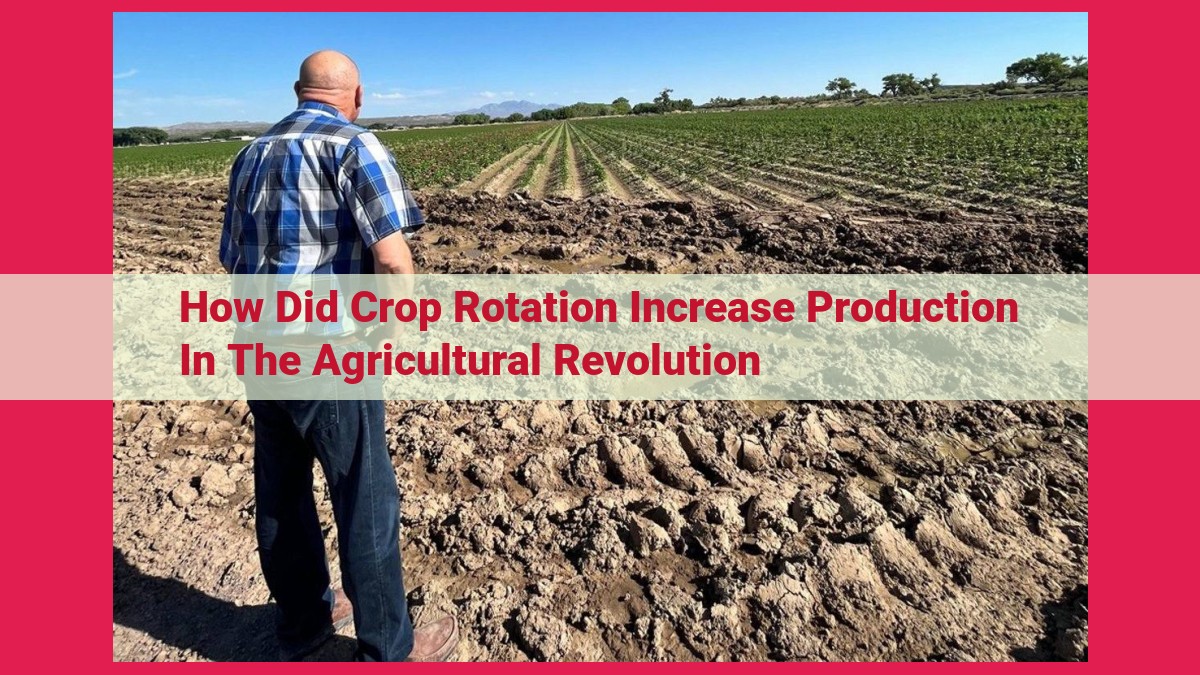 how did crop rotation increase production in the agricultural revolution