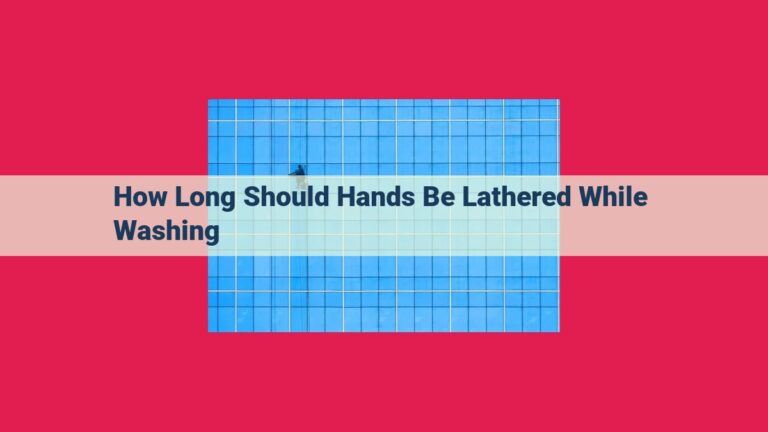 how long should hands be lathered while washing