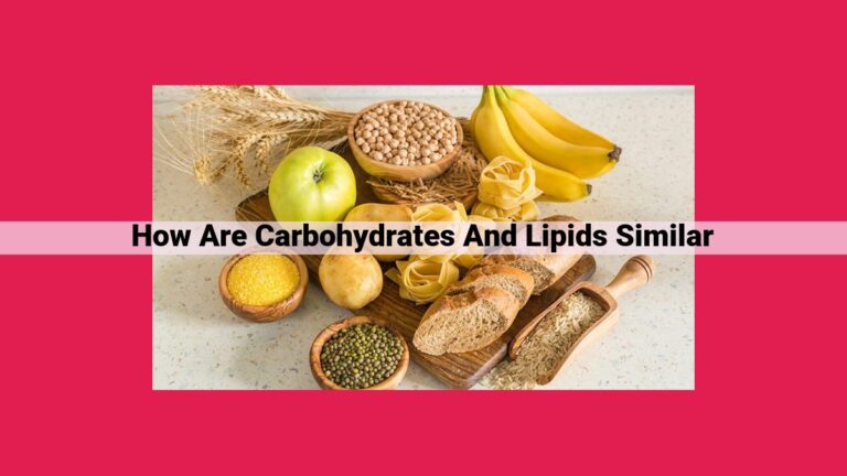 how are carbohydrates and lipids similar