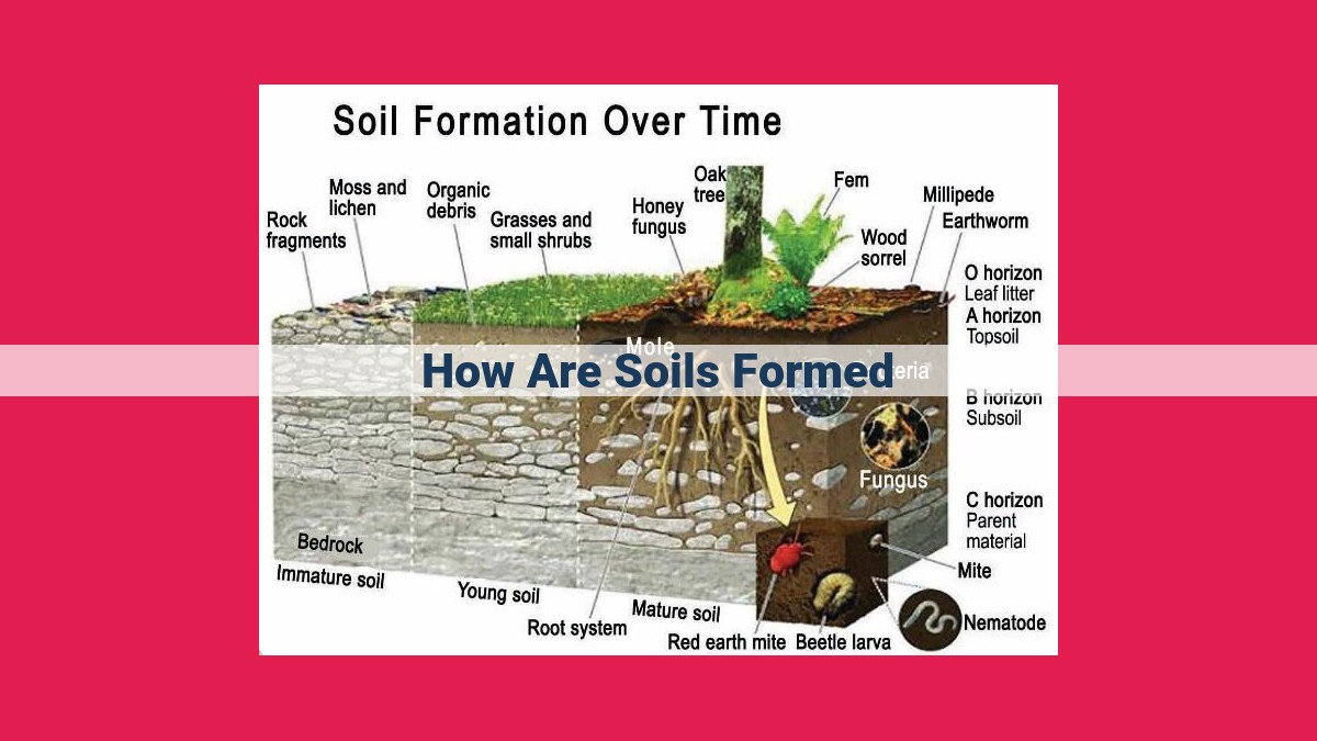 how are soils formed