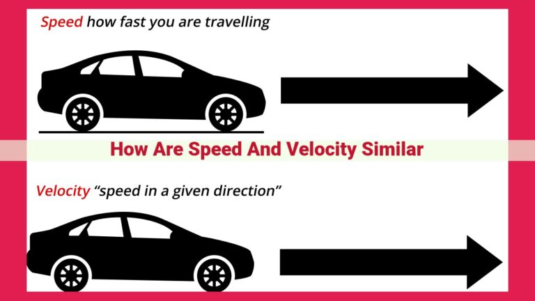 how are speed and velocity similar