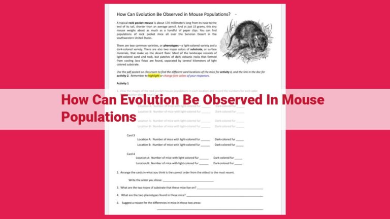 how can evolution be observed in mouse populations