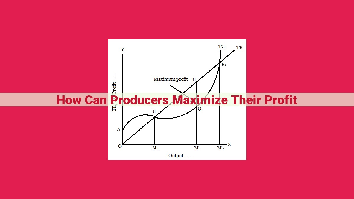 how can producers maximize their profit