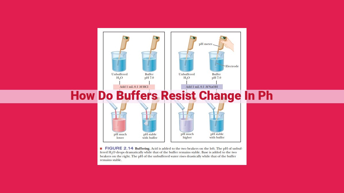 how do buffers resist change in ph