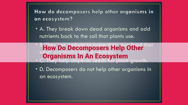 how do decomposers help other organisms in an ecosystem