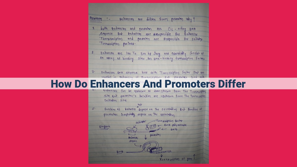 how do enhancers and promoters differ