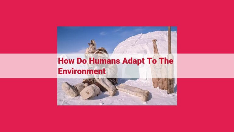 how do humans adapt to the environment