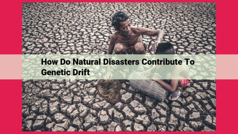 how do natural disasters contribute to genetic drift