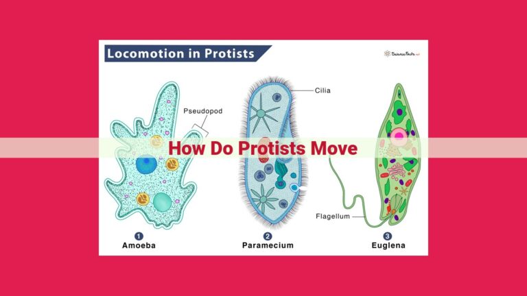 how do protists move