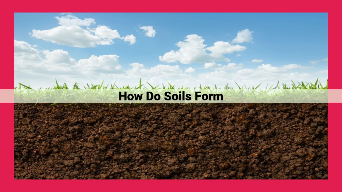 how do soils form