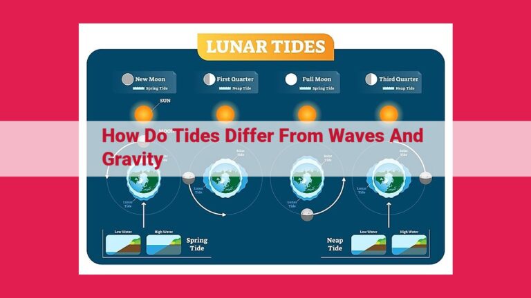 how do tides differ from waves and gravity