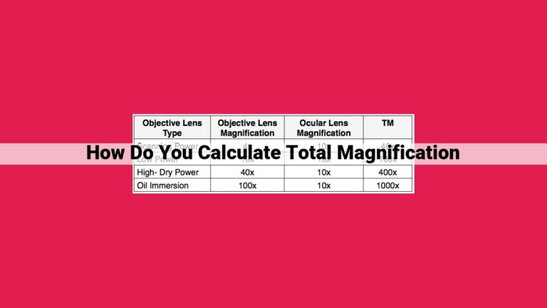 how do you calculate total magnification