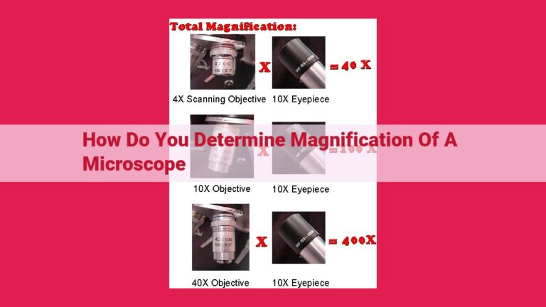 how do you determine magnification of a microscope