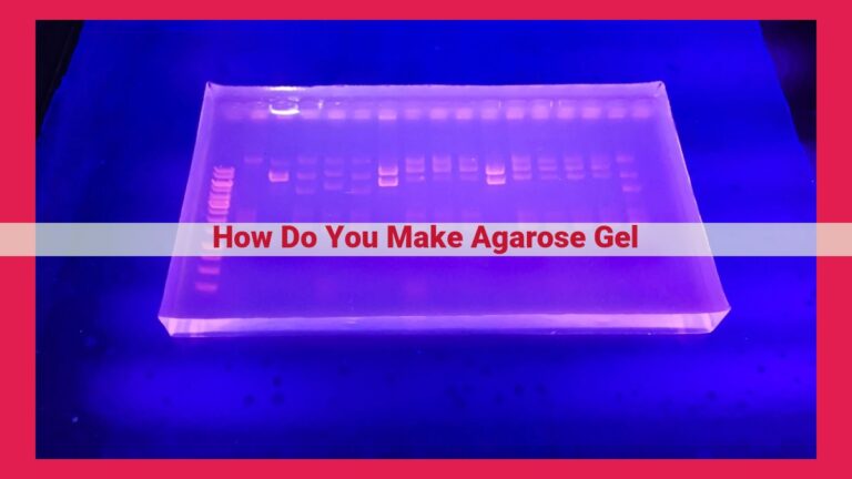 how do you make agarose gel