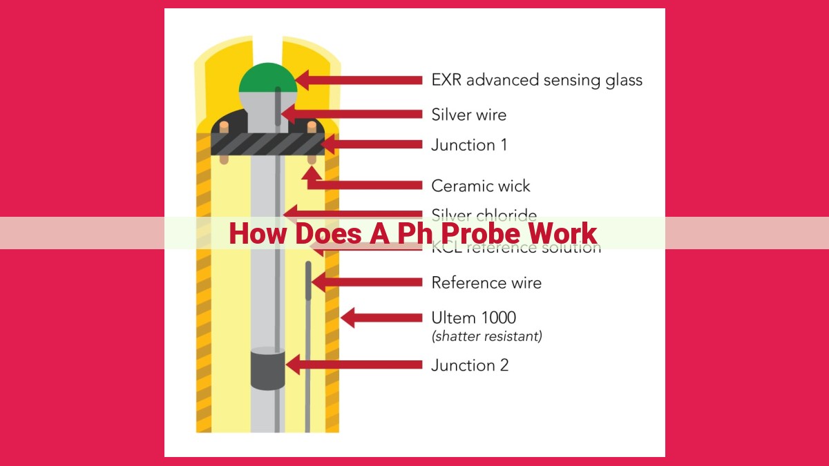 how does a ph probe work