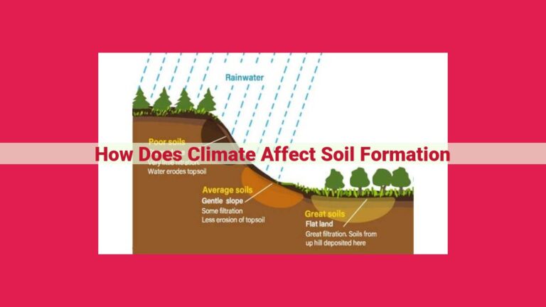 how does climate affect soil formation