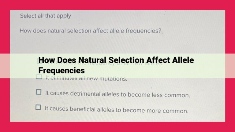 how does natural selection affect allele frequencies