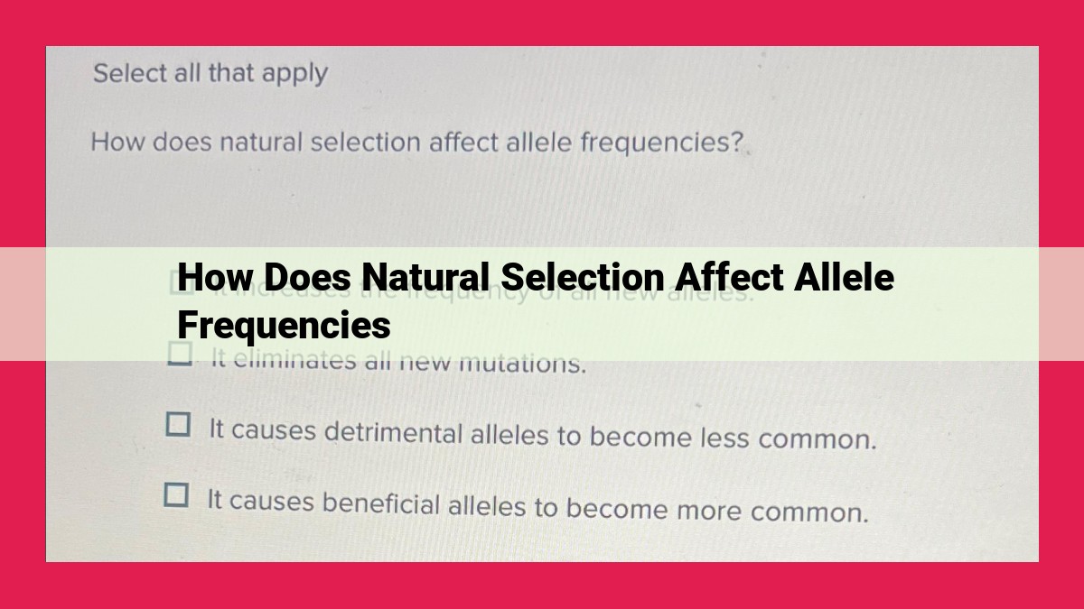 how does natural selection affect allele frequencies