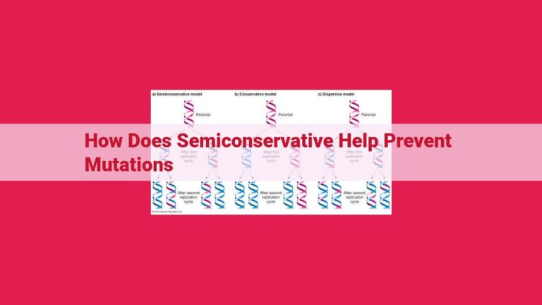 how does semiconservative help prevent mutations