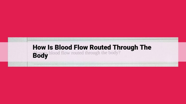 how is blood flow routed through the body