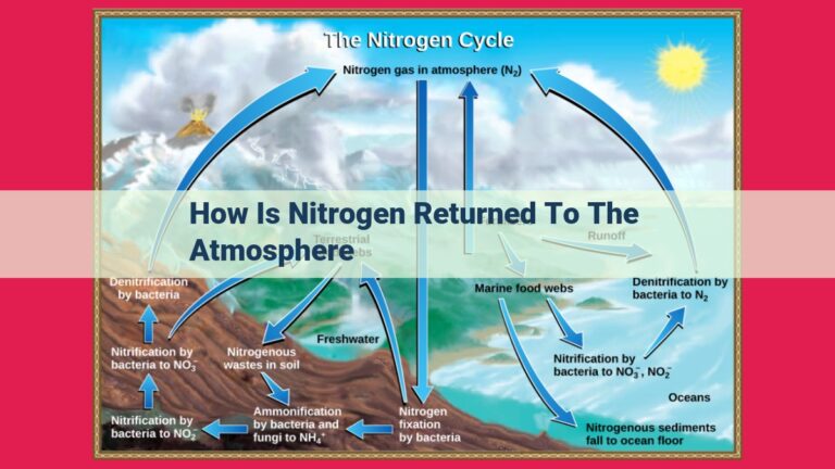 how is nitrogen returned to the atmosphere