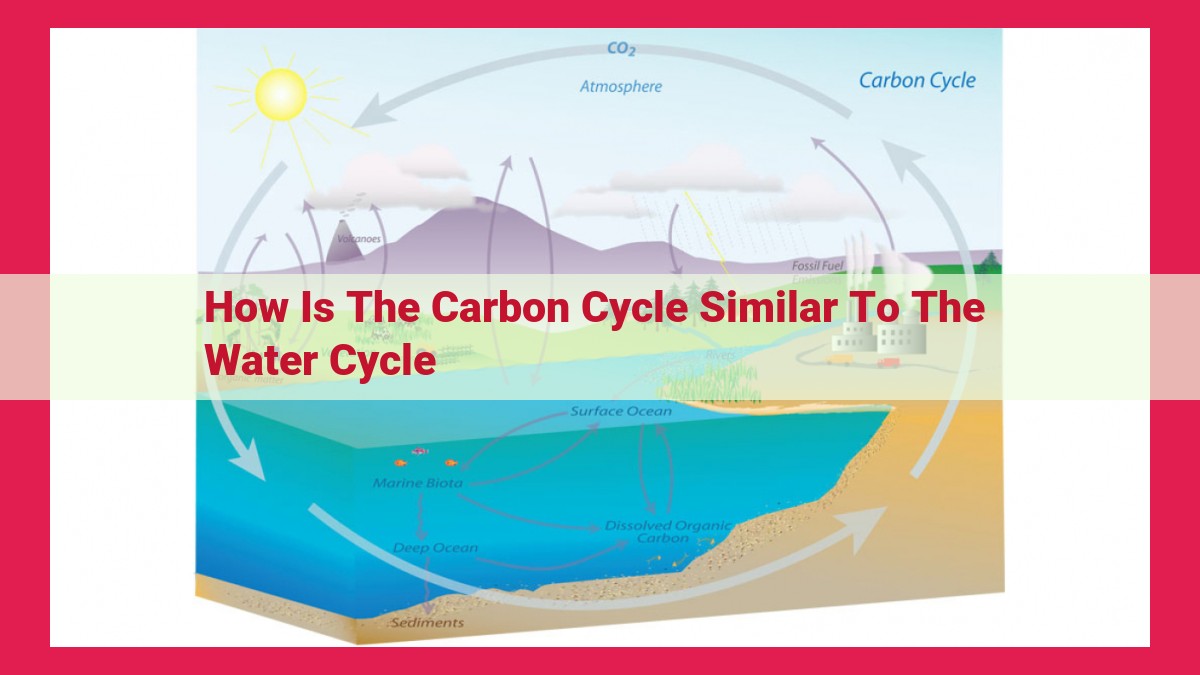 how is the carbon cycle similar to the water cycle