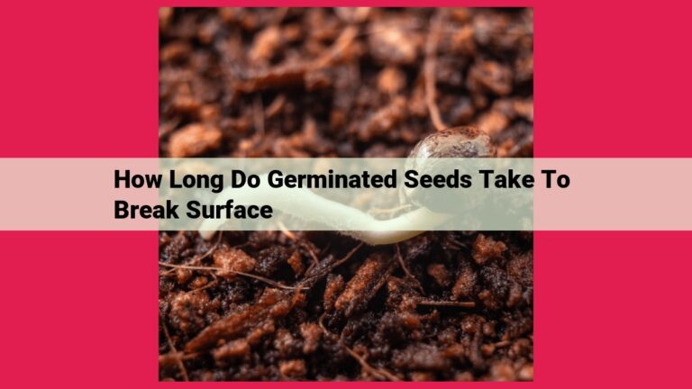 how long do germinated seeds take to break surface