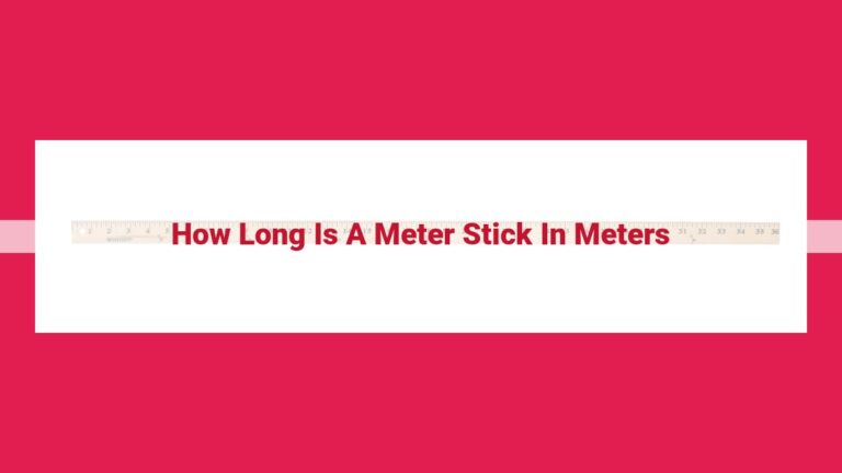 how long is a meter stick in meters