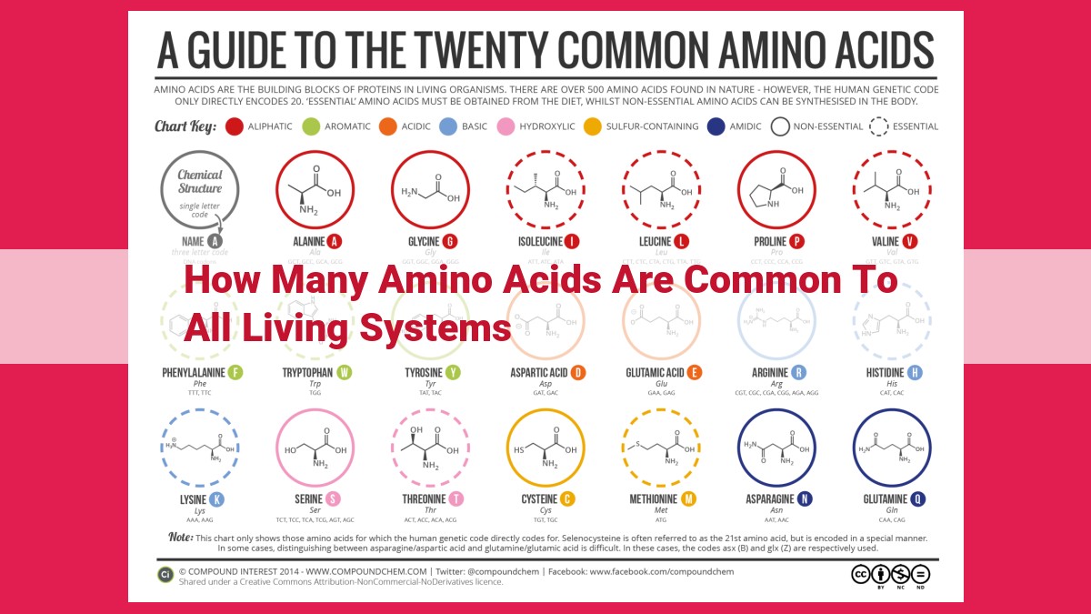 how many amino acids are common to all living systems