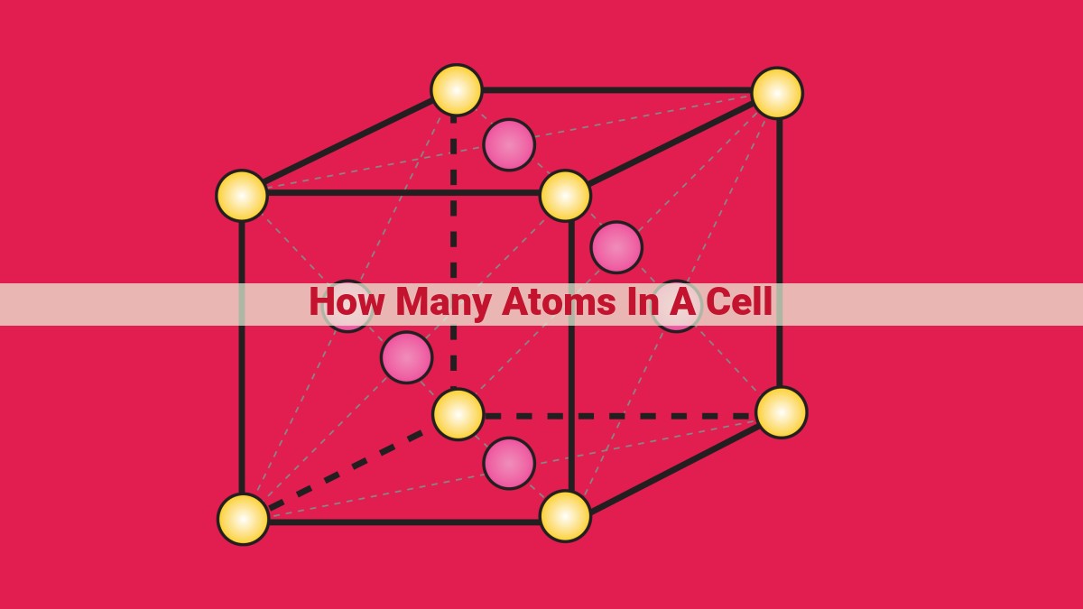 how many atoms in a cell