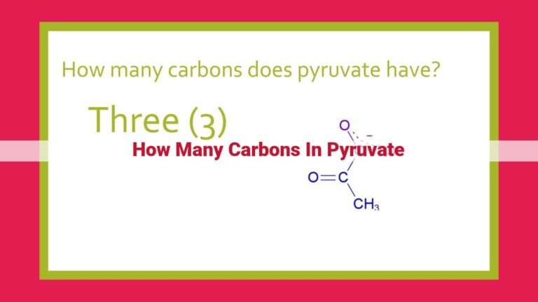 how many carbons in pyruvate