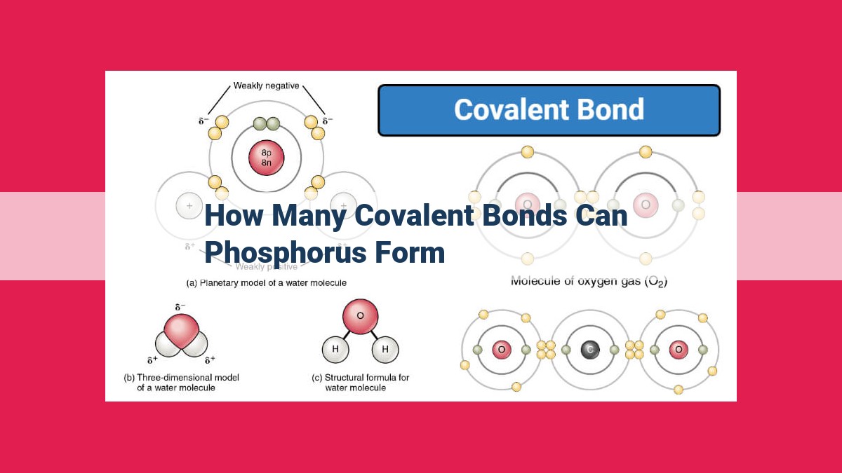 how many covalent bonds can phosphorus form