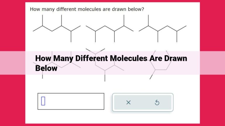 how many different molecules are drawn below