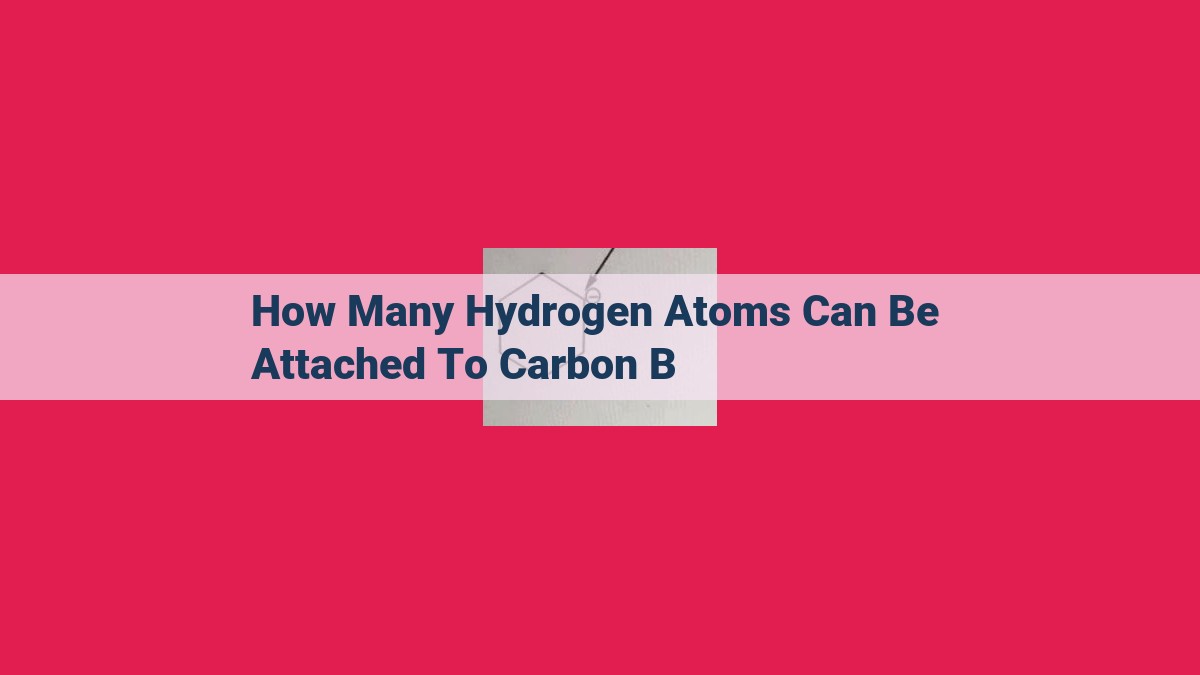 how many hydrogen atoms can be attached to carbon b