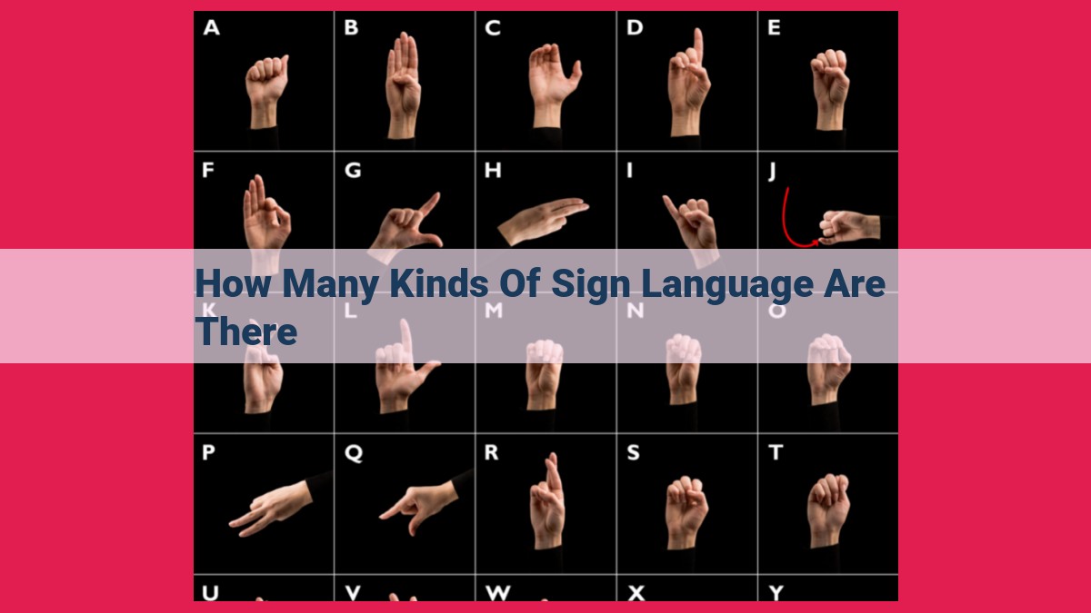 how many kinds of sign language are there