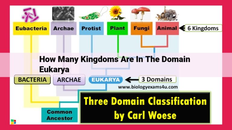 how many kingdoms are in the domain eukarya