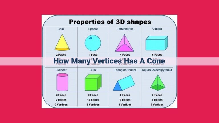 how many vertices has a cone