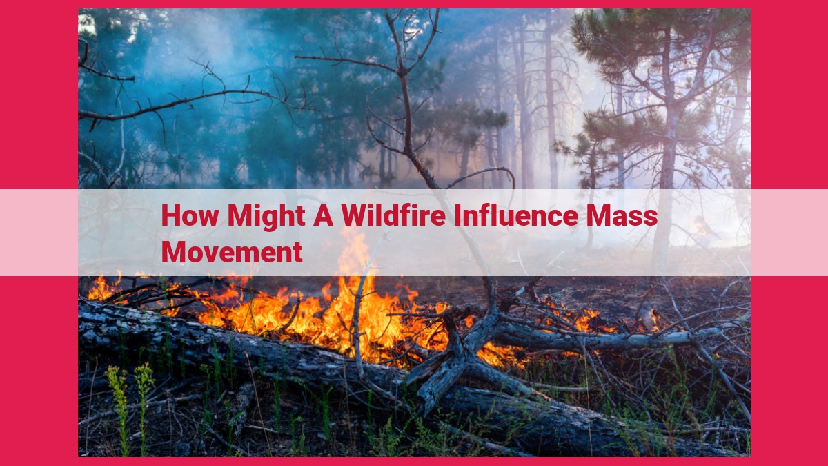 how might a wildfire influence mass movement