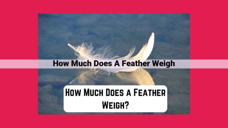 how much does a feather weigh