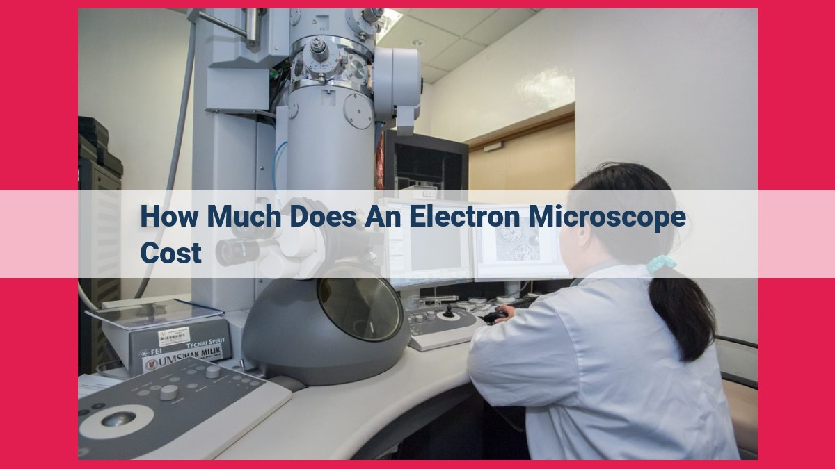 how much does an electron microscope cost