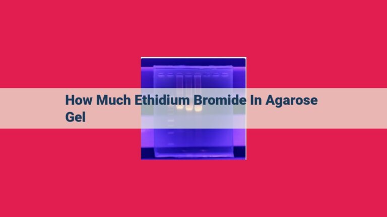 how much ethidium bromide in agarose gel