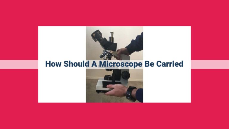 how should a microscope be carried