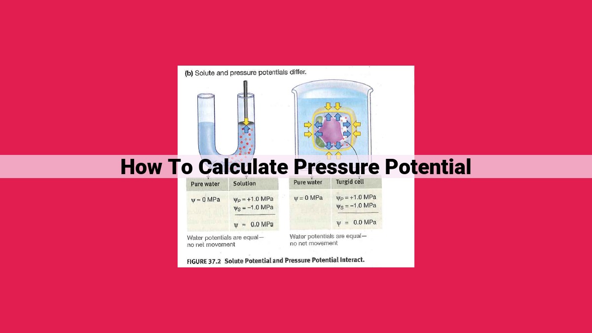 how to calculate pressure potential