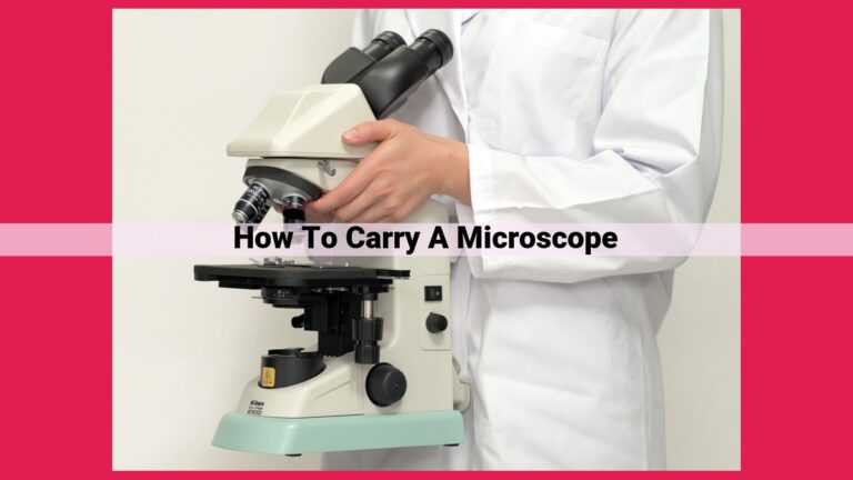 how to carry a microscope