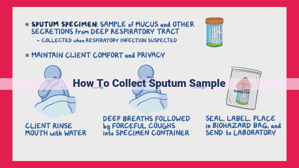 how to collect sputum sample