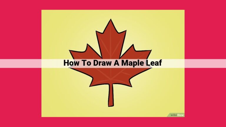 how to draw a maple leaf