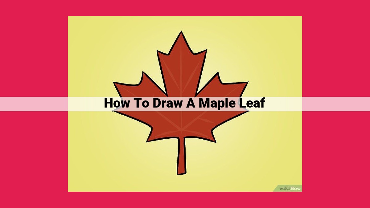 how to draw a maple leaf