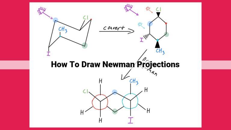 how to draw newman projections