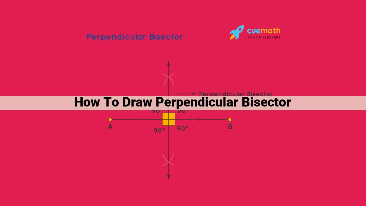 how to draw perpendicular bisector