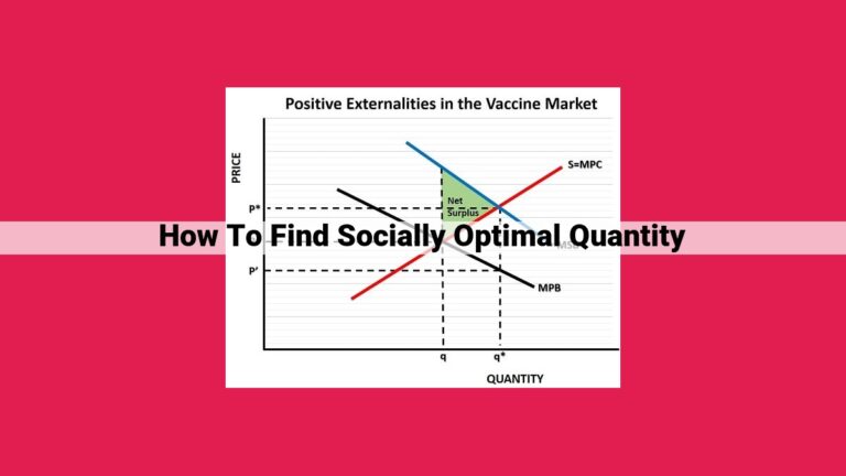 how to find socially optimal quantity